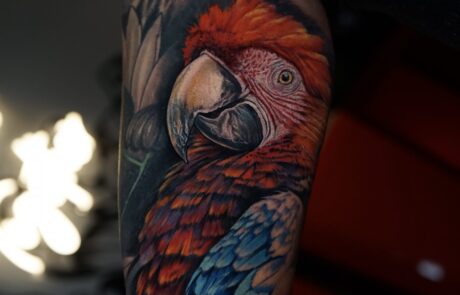 DSC05849-scaled at Inked Studios