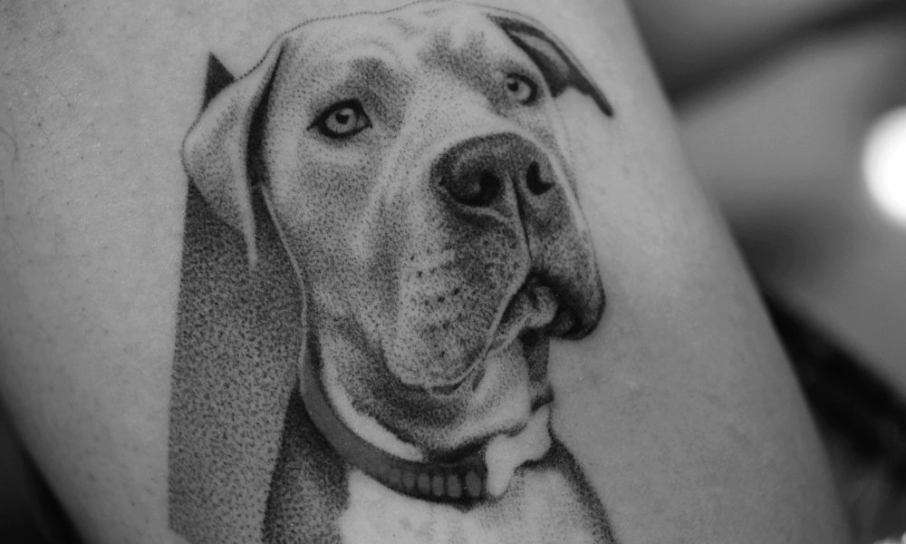 Tattoo of a detailed dog portrait on skin, illustrating the artistry and personal significance of tattoos for first-timers considering their first piece of lifelong art.