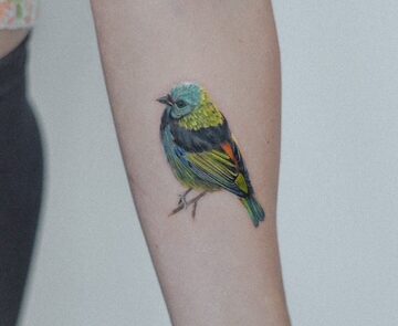 image13 at Inked Studios