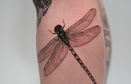 inked-may-24-135 at Inked Studios