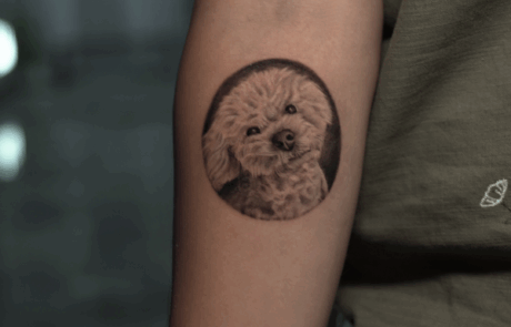 luis dog at Inked Studios