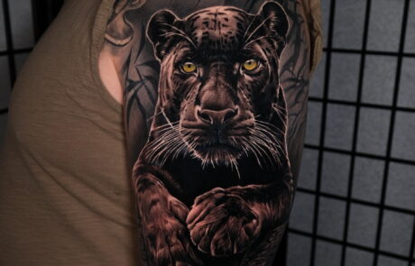 Foto 12-12-2024, 12 44 13 at Inked Studios