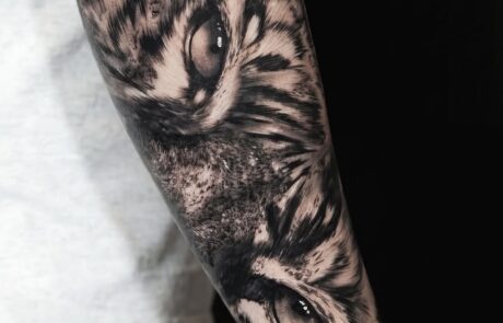 Screenshot at Inked Studios