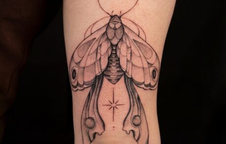 hf_20260226_051107_3ea7f02a-faed-478e-9b51-159ea05c6ec0 at Inked Studios