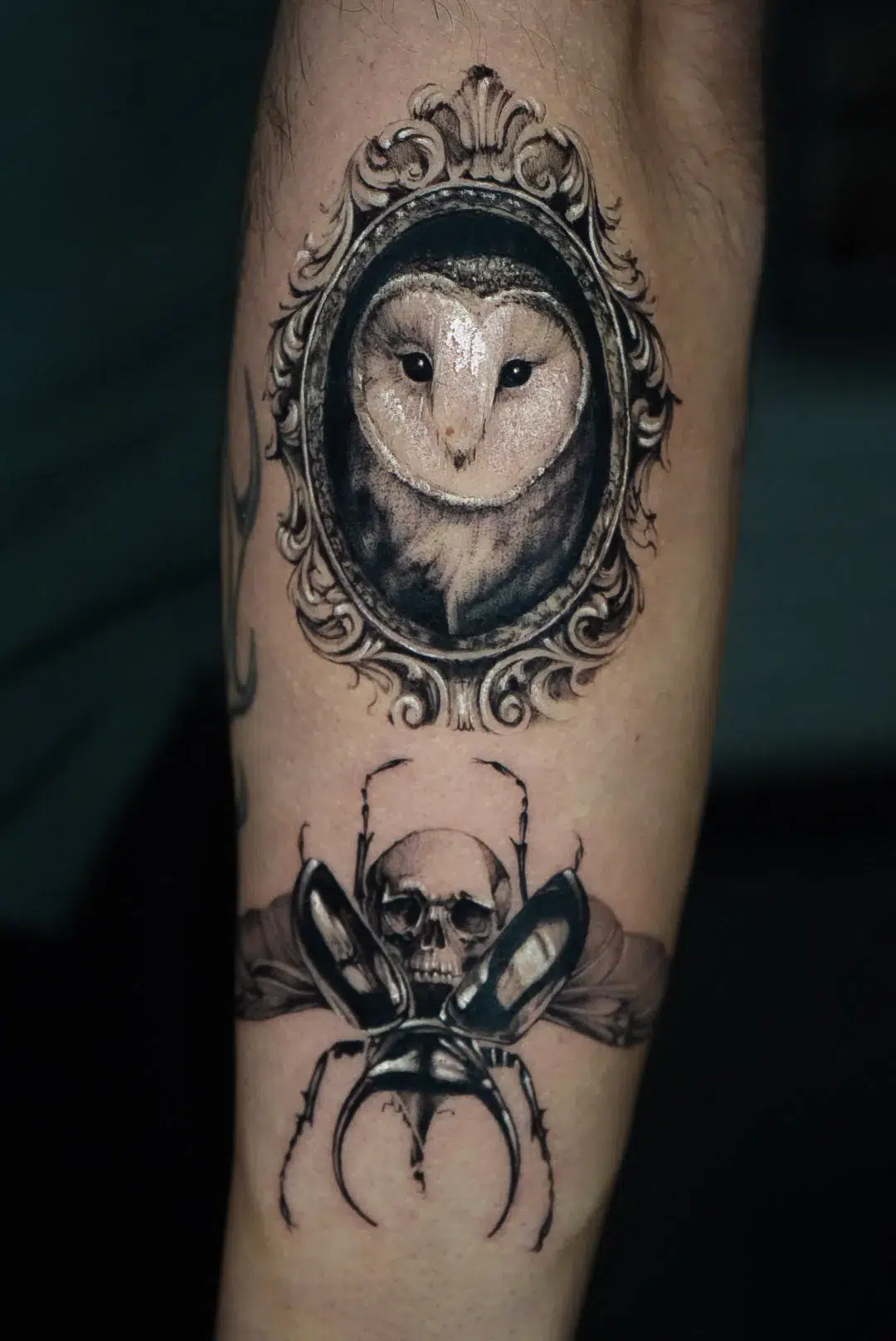 Two black and gray tattoos on a forearm. The top piece is a realistic barn owl's face enclosed in an ornate, Victorian-style oval frame. Below it is a large beetle with open wings and a human skull incorporated into its thorax.